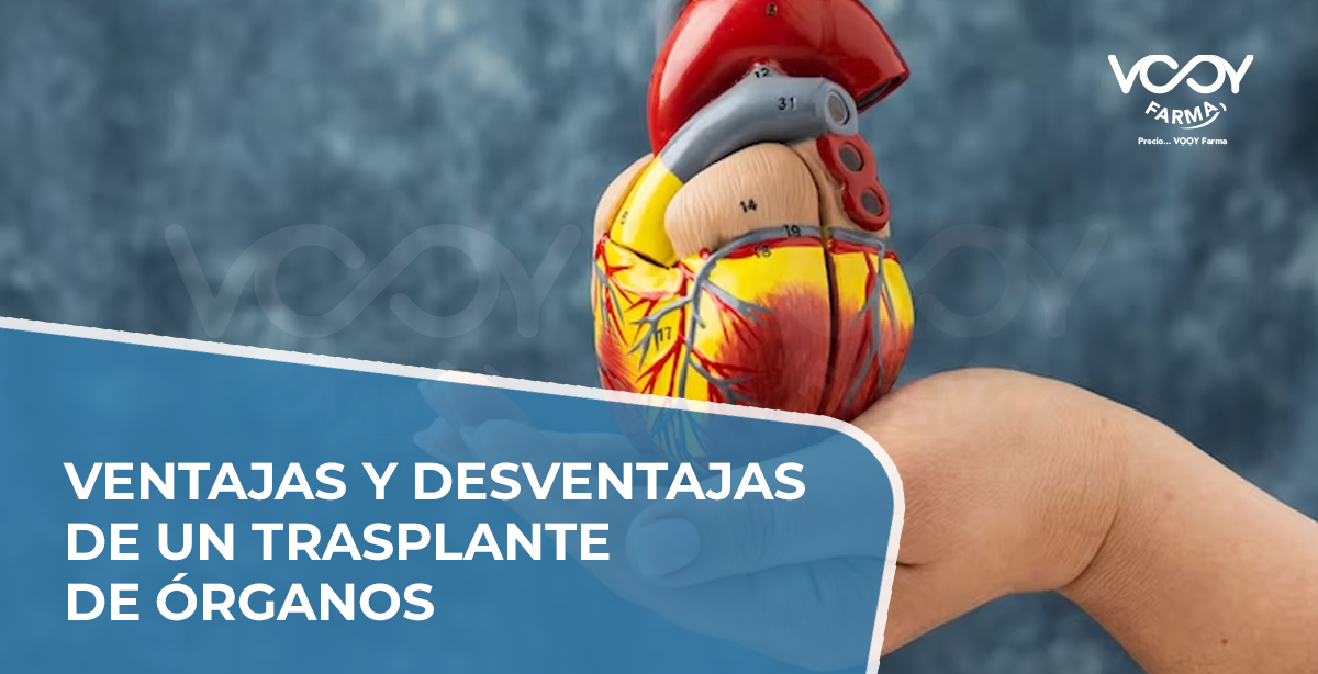 Ventajas Y Desventajas Del Trasplante De Organos